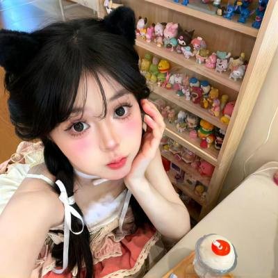 企鹅之岛:福克兰